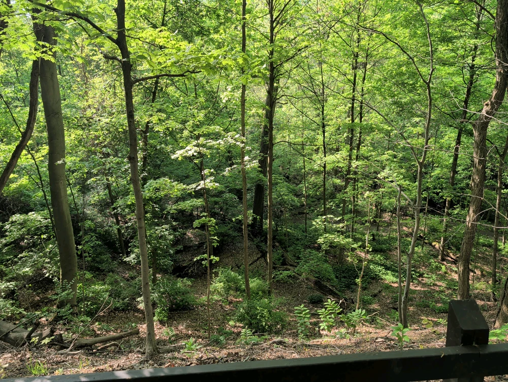 GIF uploaded by Chris