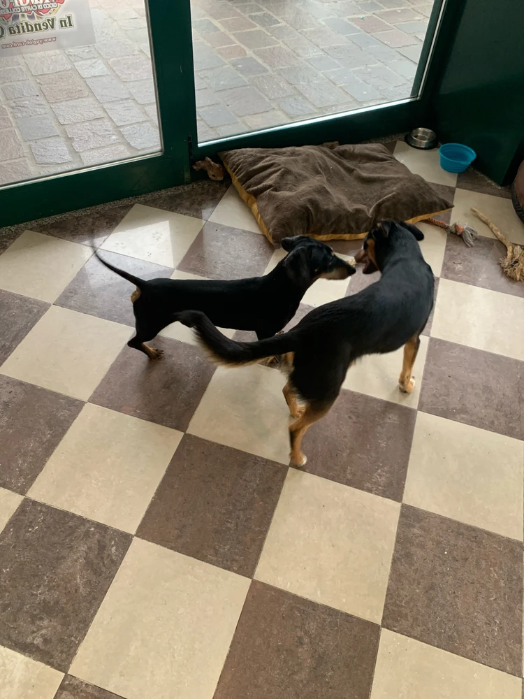 GIF uploaded by Fabiano