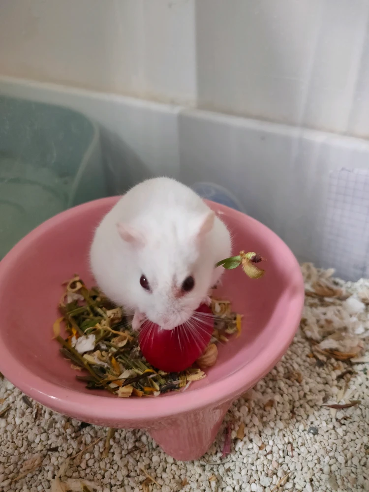 GIF uploaded by Alba