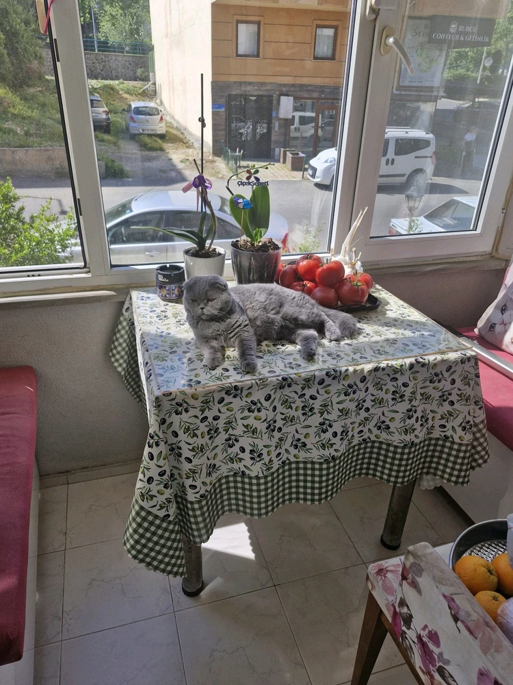 GIF uploaded by Aslı