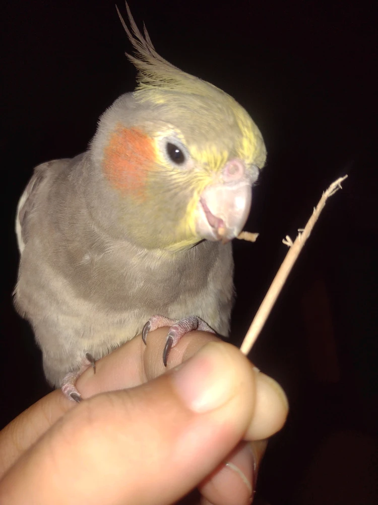 GIF uploaded by Gilberto