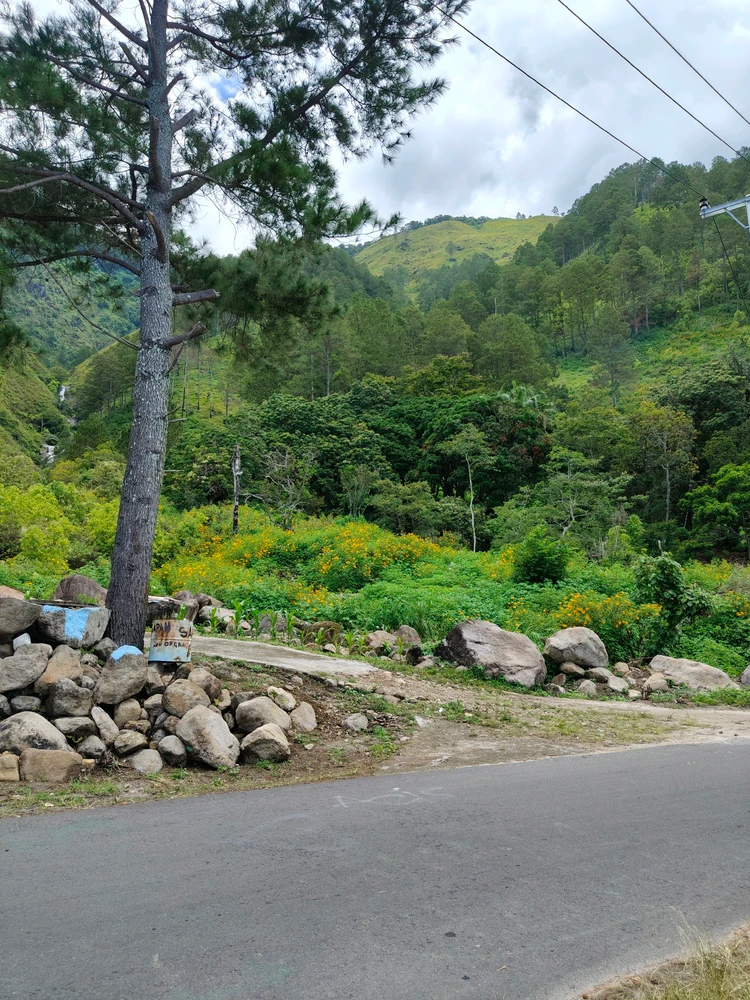 GIF uploaded by Maya