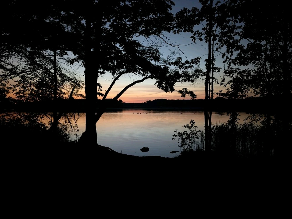 GIF uploaded by Roman