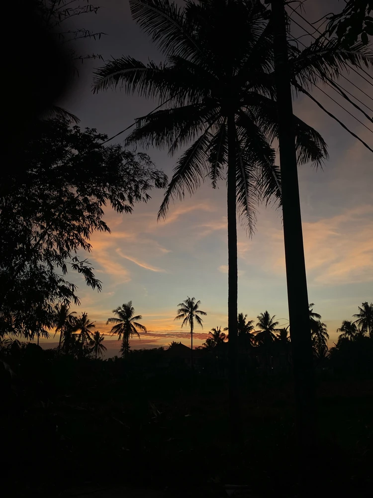 GIF uploaded by Gusti