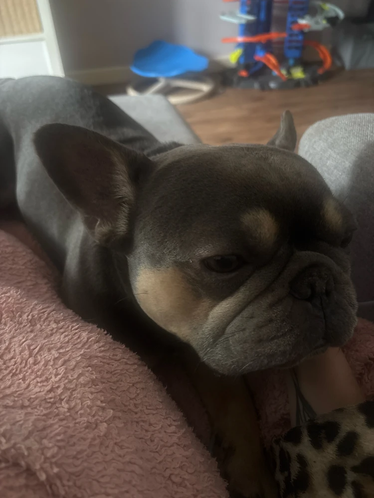GIF uploaded by Sophie
