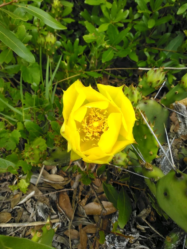 GIF uploaded by Cass