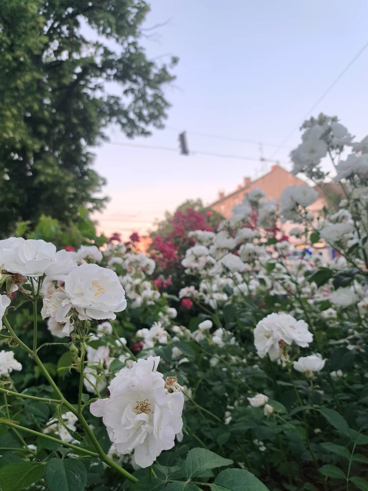 GIF uploaded by Matyi
