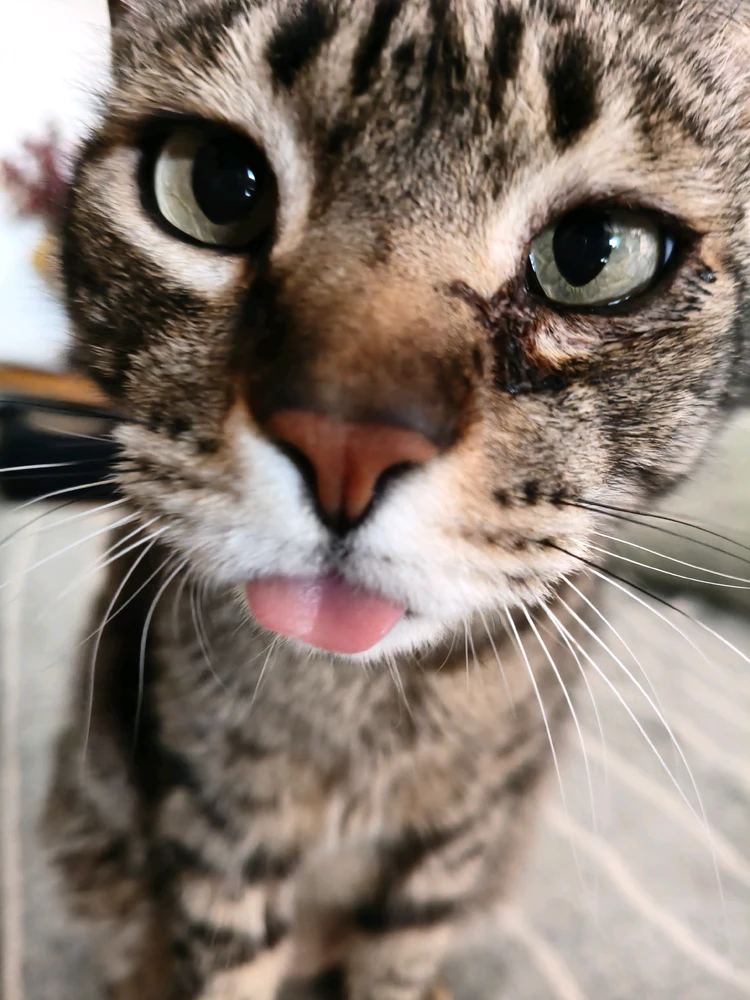 GIF uploaded by Nuria