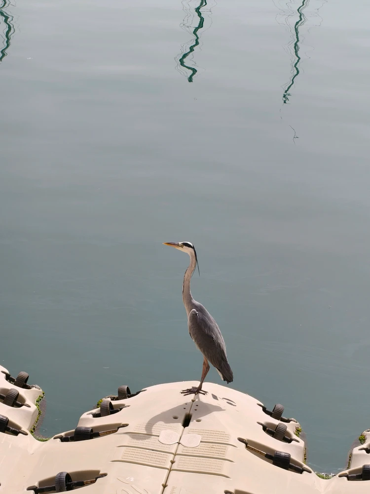 GIF uploaded by Nuria