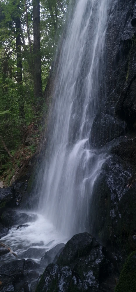 GIF uploaded by Tab