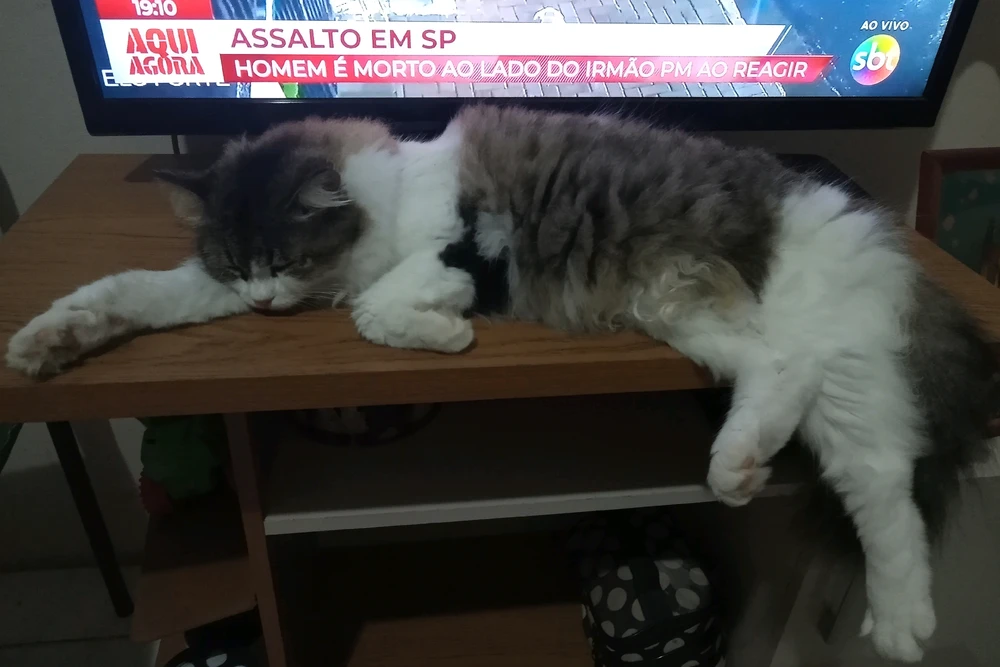 GIF enviado por Alice