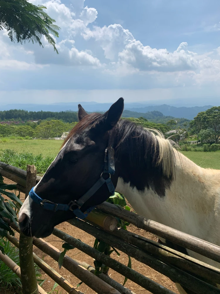 Image uploaded by Utamee