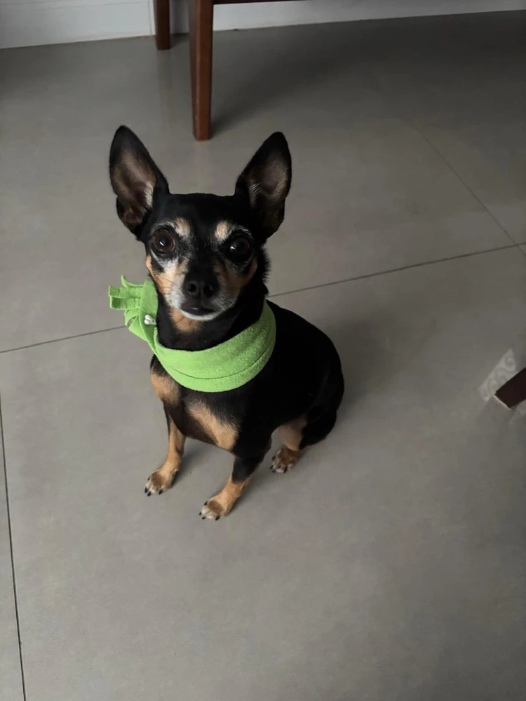 GIF enviado por Luan