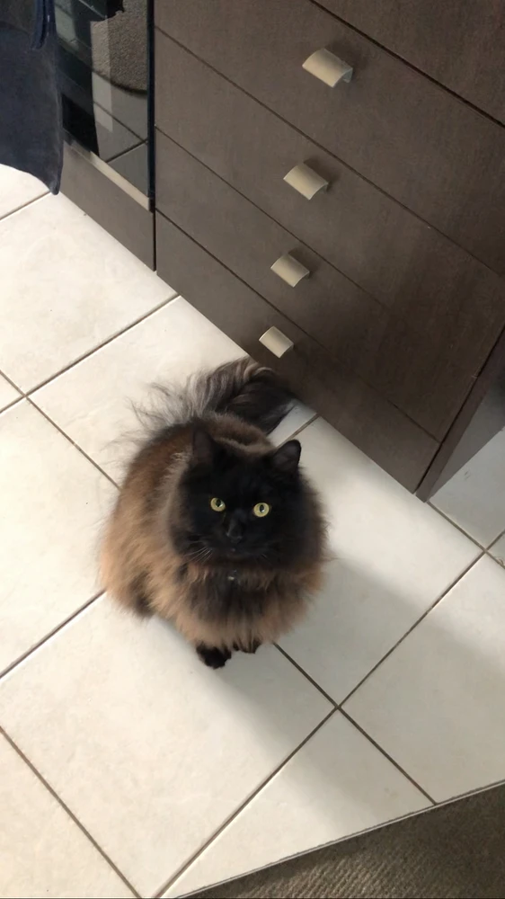 GIF uploaded by Shano