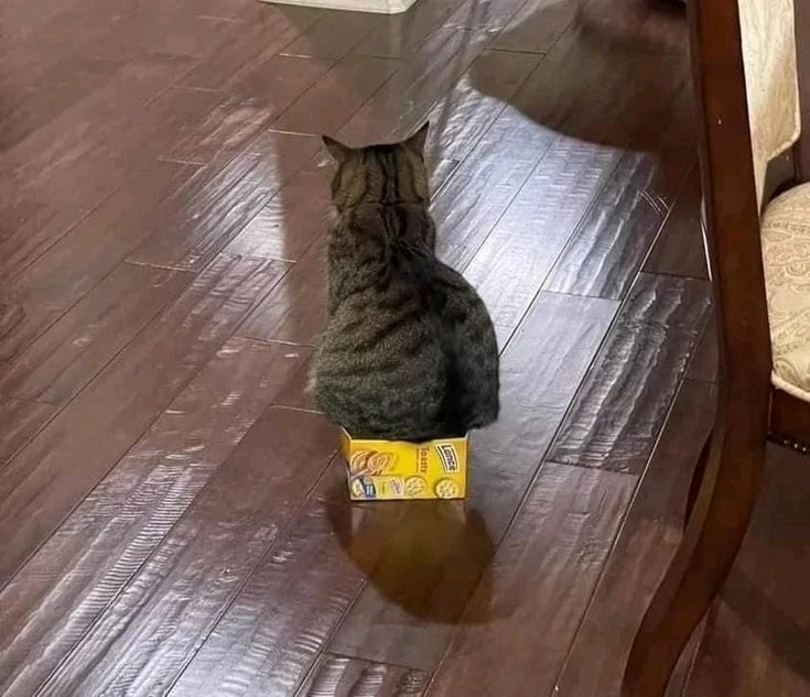 GIF enviado por Cinthia