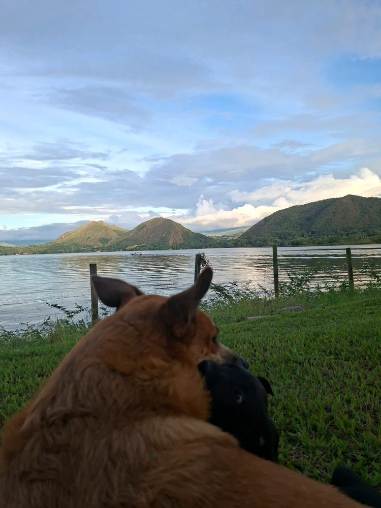 GIF uploaded by Nestor