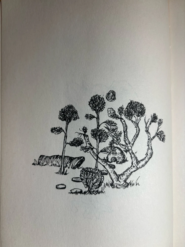 GIF uploaded by Anthony