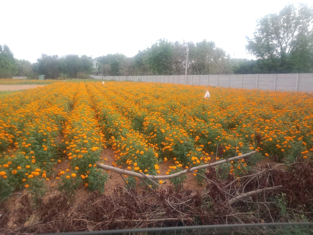 GIF uploaded by srkraidu