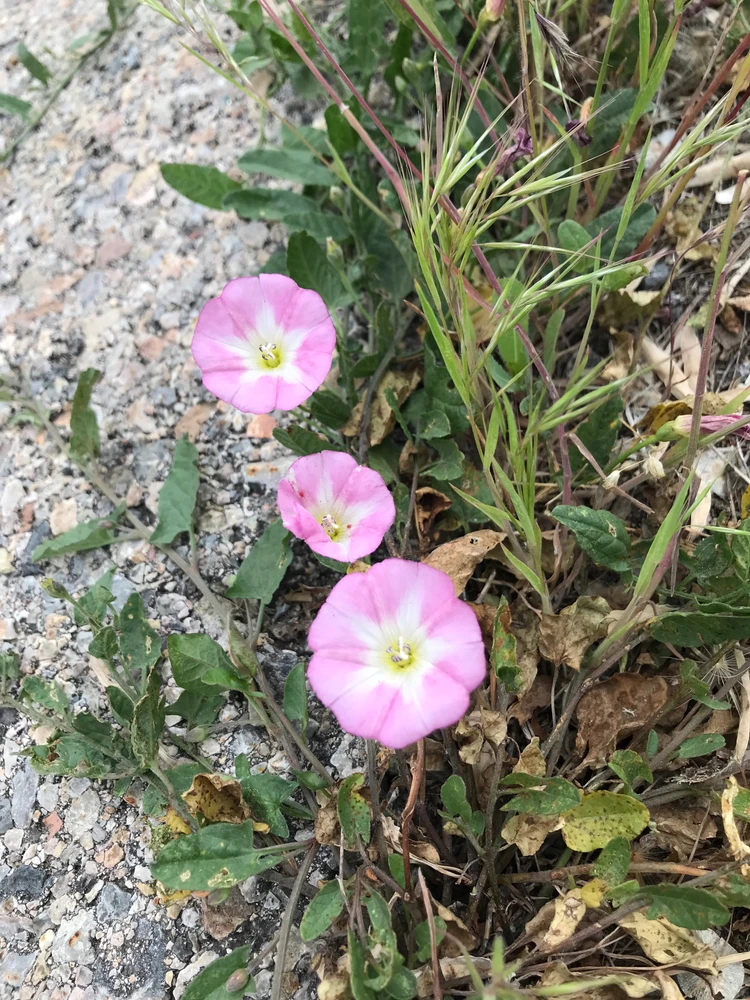 GIF uploaded by Isaac