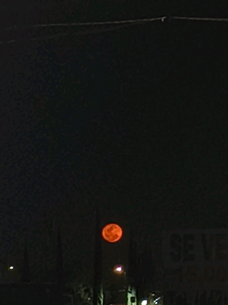 GIF uploaded by Pilar