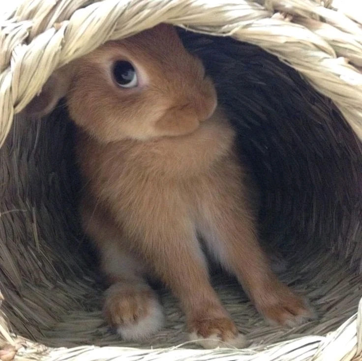 GIF uploaded by Emmy