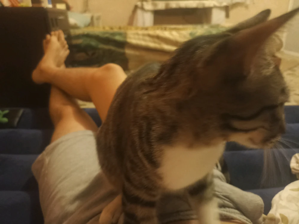 GIF subido por Fernando