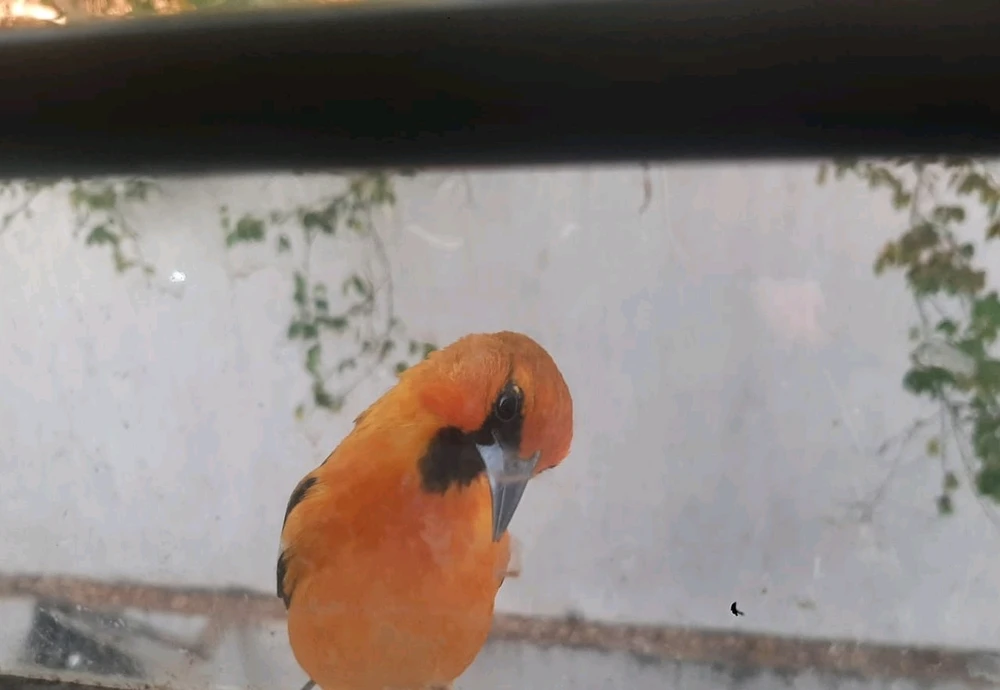 GIF subido por Airis