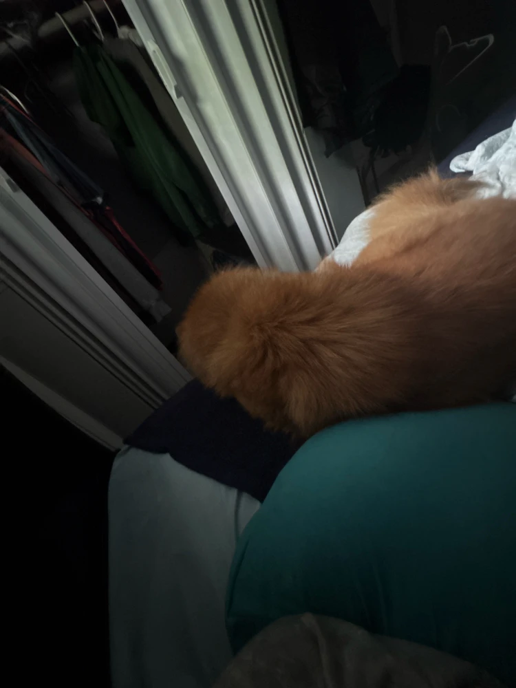 GIF uploaded by Junior