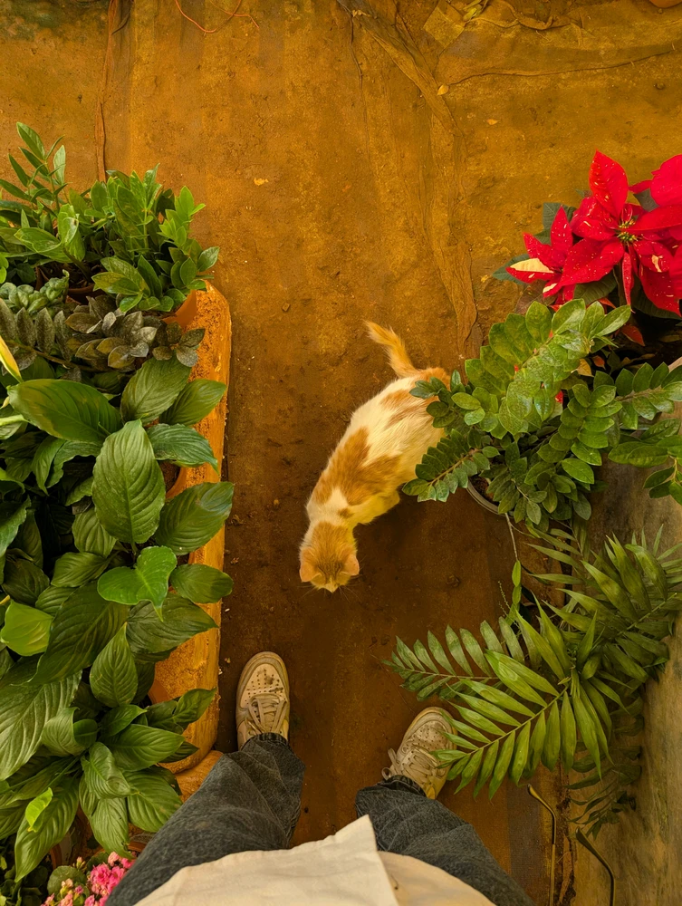 GIF uploaded by Rohit