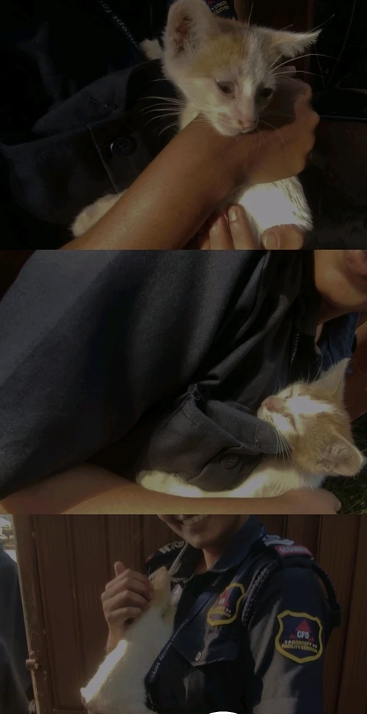 GIF uploaded by Summu