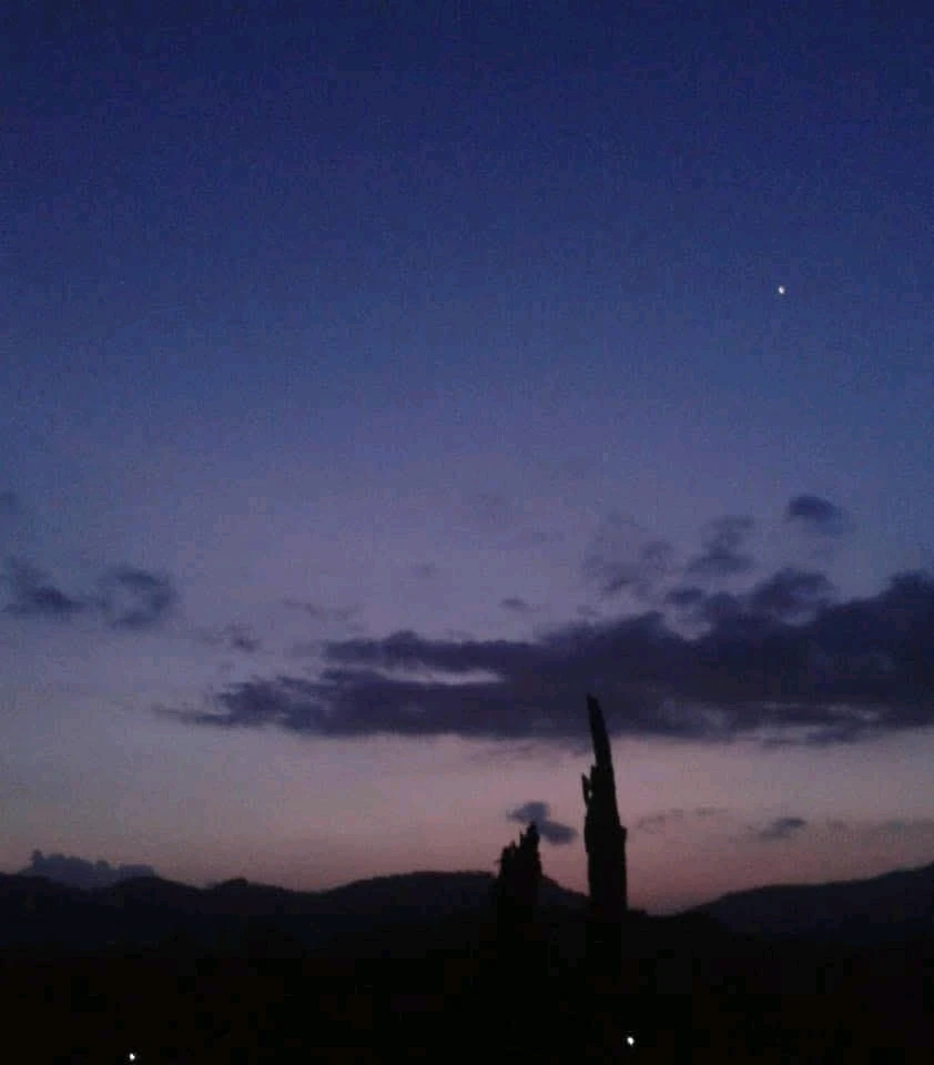 GIF uploaded by S