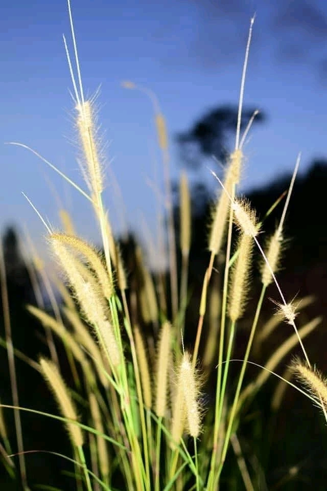 GIF uploaded by S