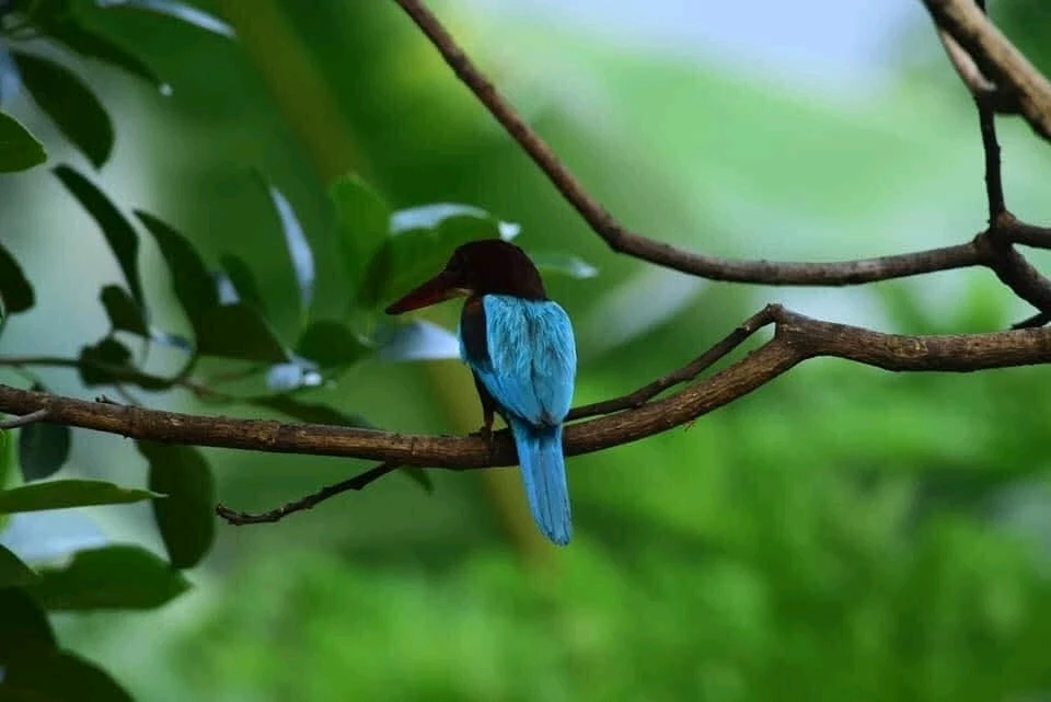 GIF uploaded by S