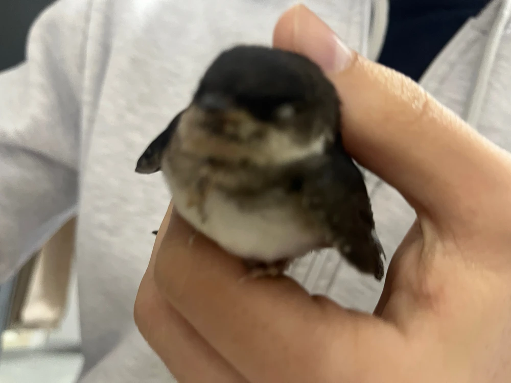 GIF uploaded by Bertu