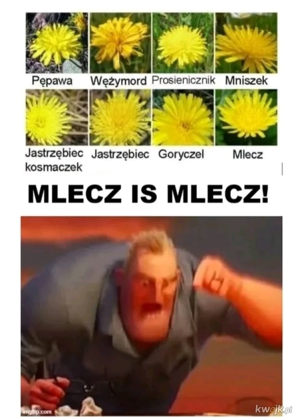 GIF uploaded by Grzechu