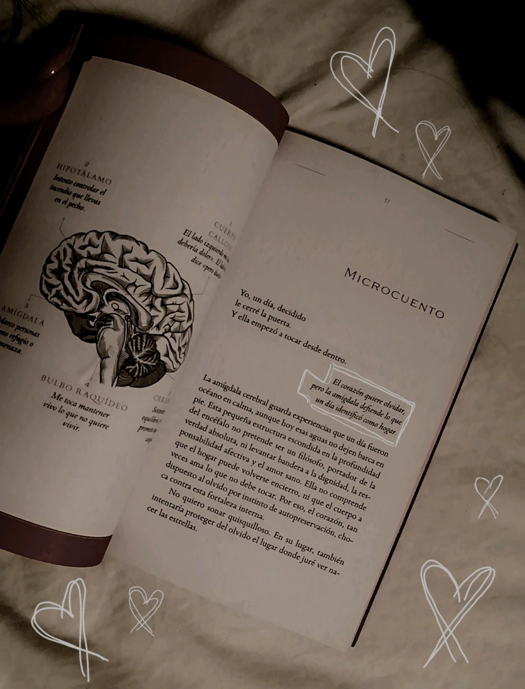 GIF uploaded by Casandra