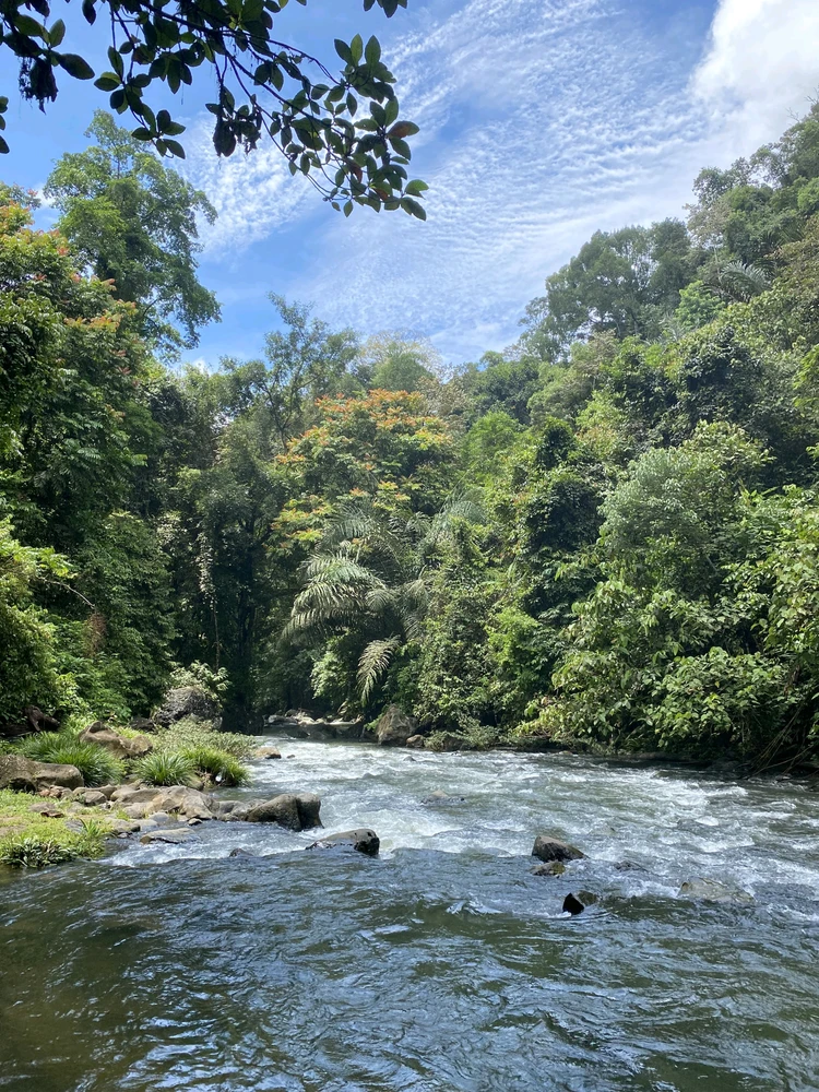 Air terjun