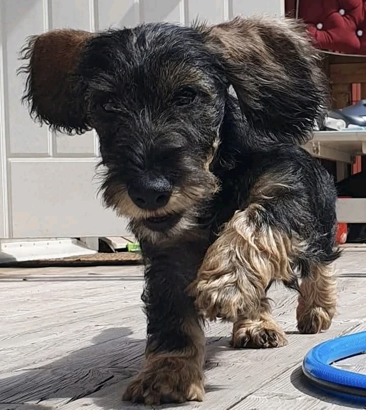 GIF uploaded by Martino