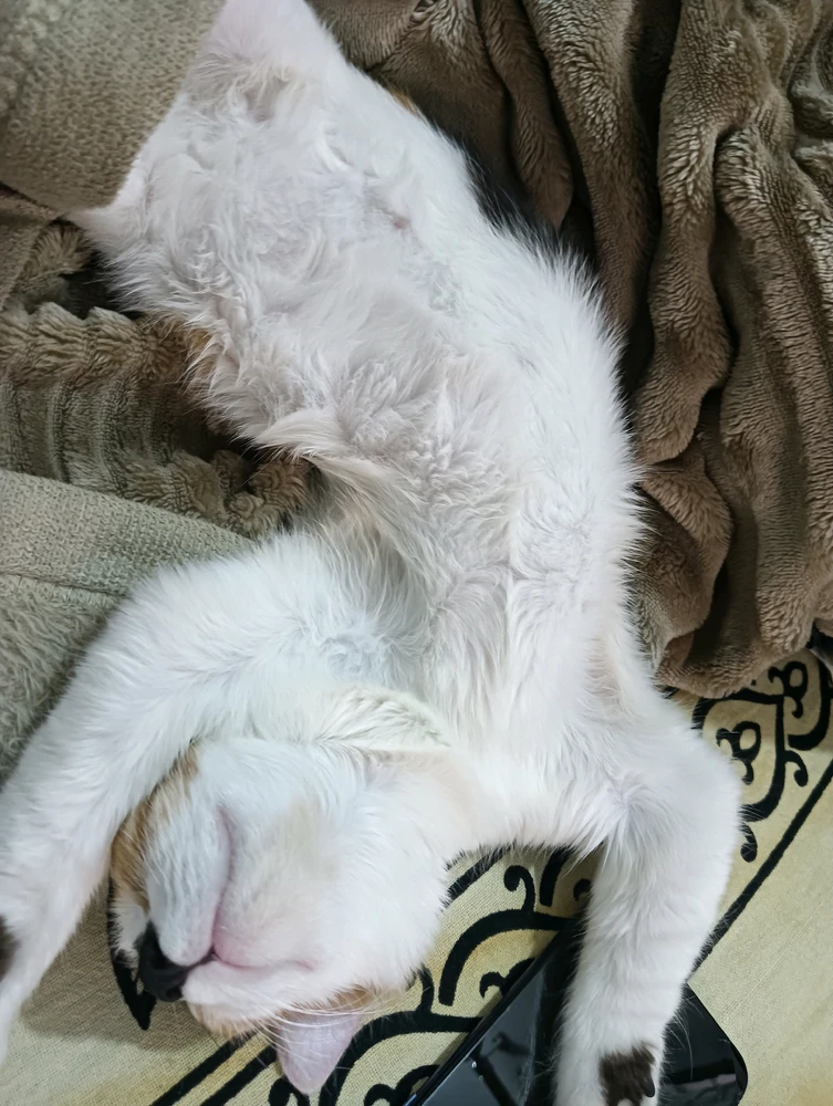 Image uploaded by Sakir