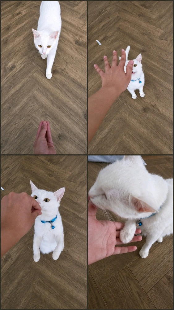 GIF uploaded by Ozoda