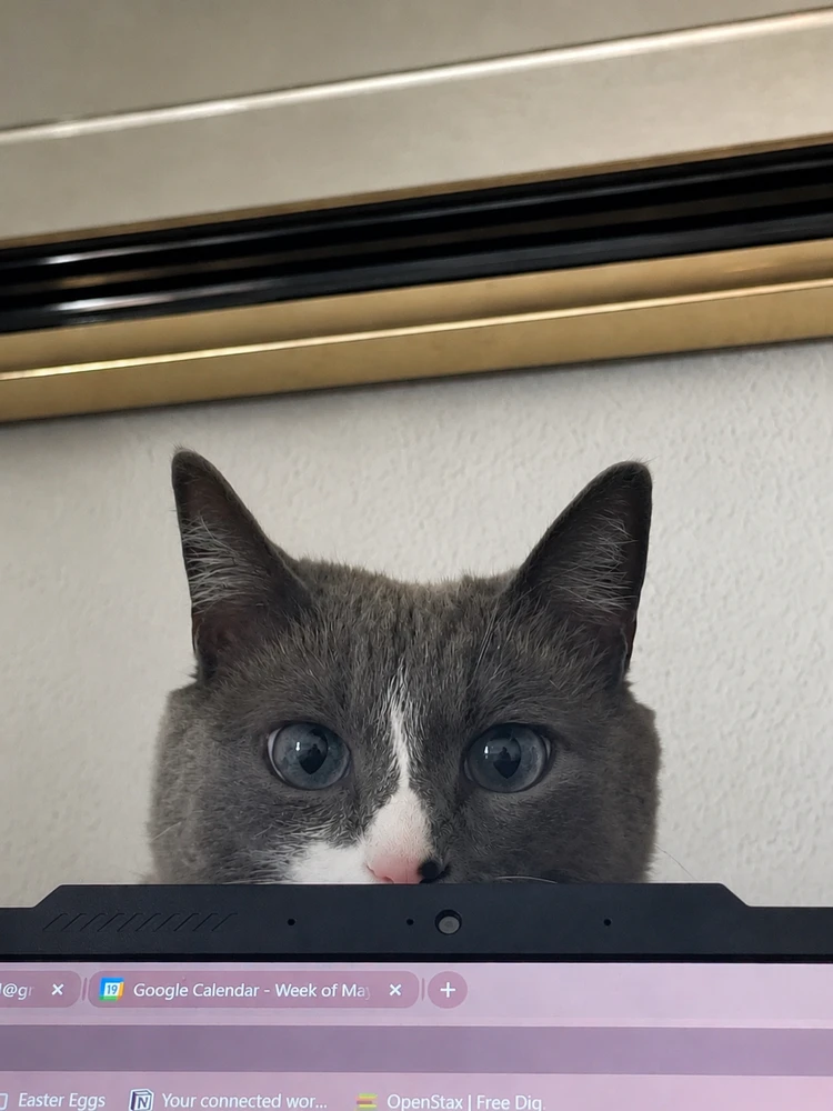 GIF uploaded by Nicole