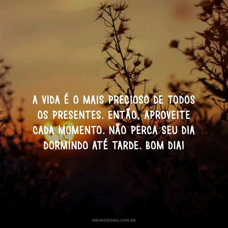 GIF enviado por Fabio