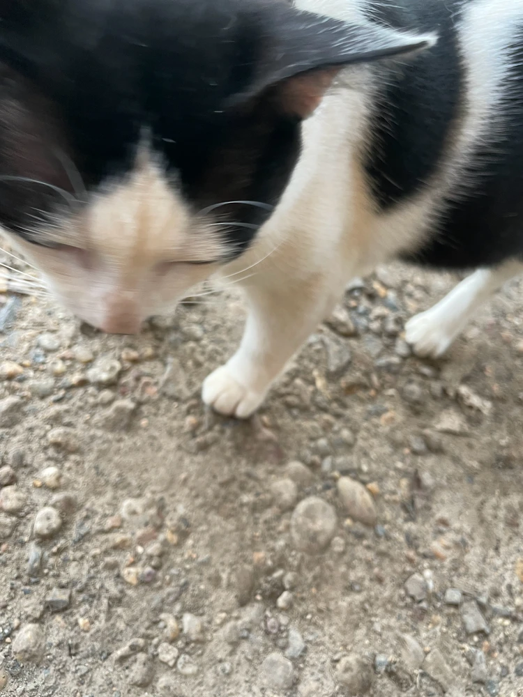 GIF uploaded by Reine