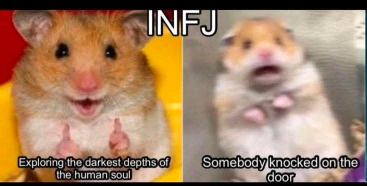 GIF uploaded by Teodora