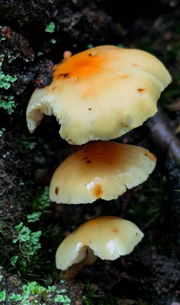 GIF uploaded by Chris