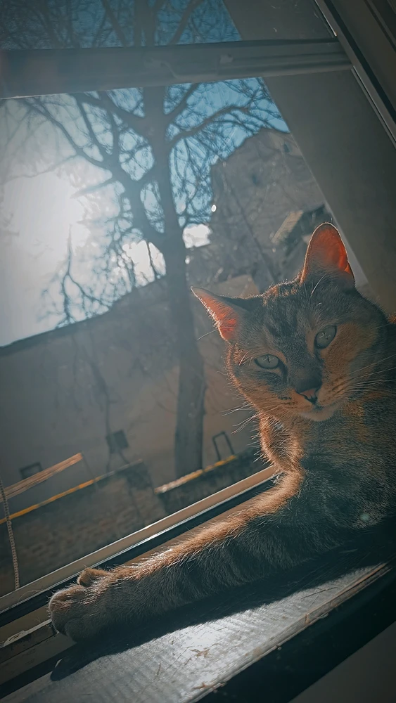 GIF uploaded by Diego 🖤✨