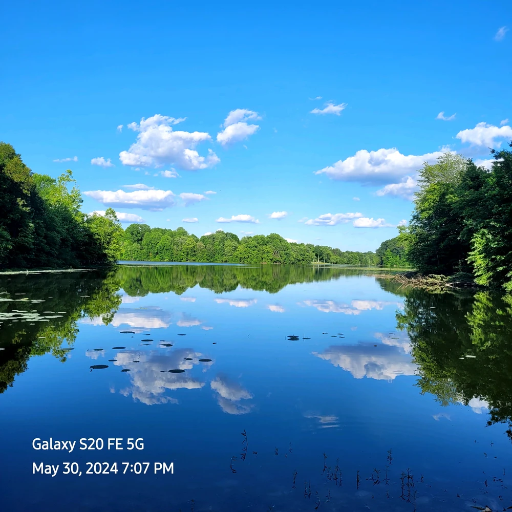 GIF uploaded by Charlie Taylor