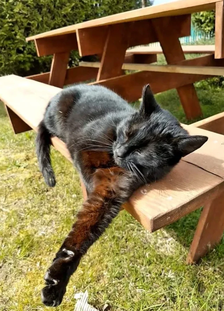 GIF uploaded by Nexari