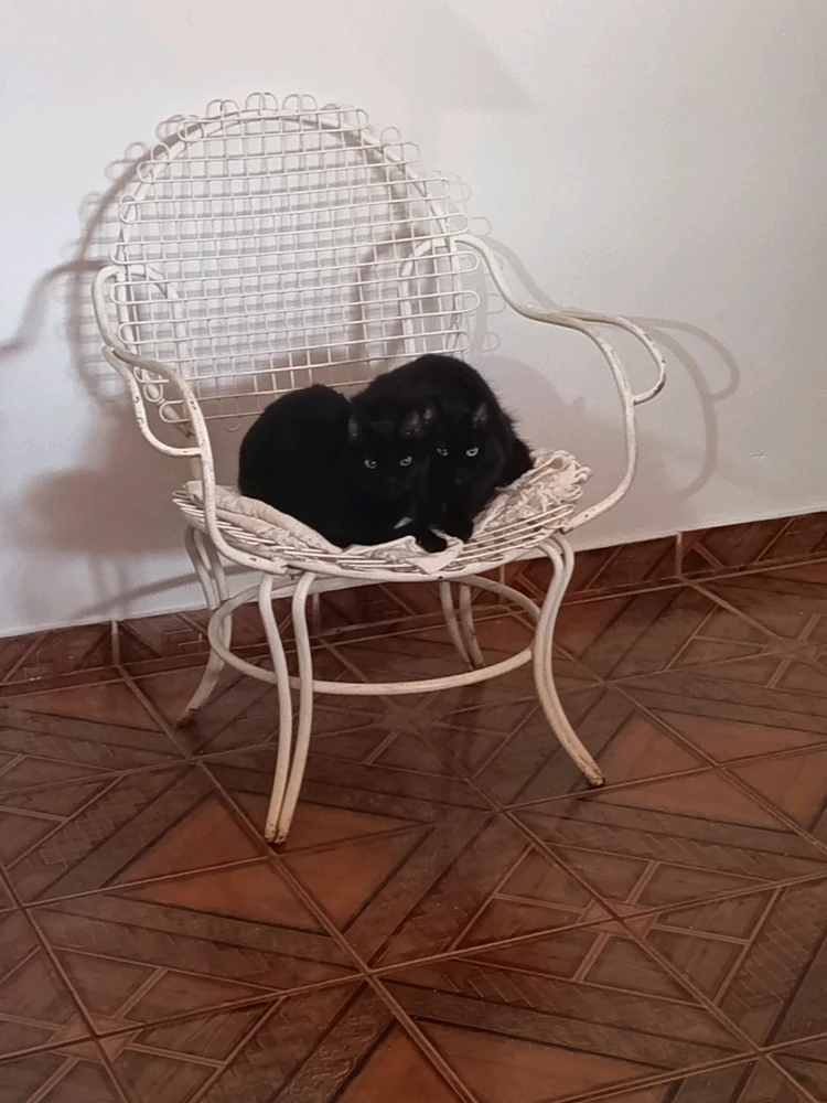 GIF subido por Ingrind