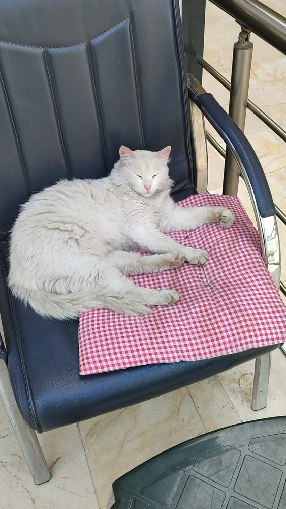 GIF uploaded by Ufuk